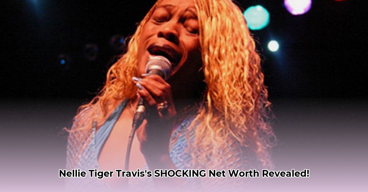 nellie-tiger-travis-net-worth